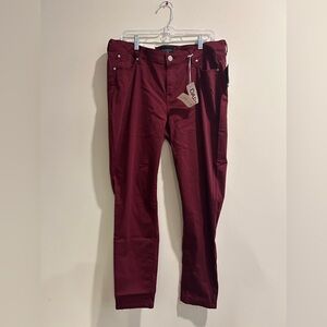 WOMEN’S CELEBRITY PINK PANT’S